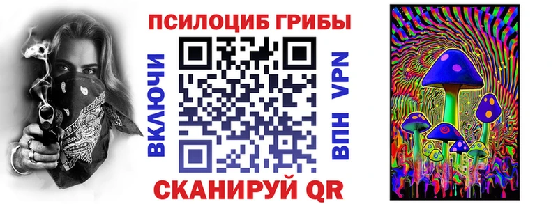 что такое Буй Псилоцибиновые грибы Psilocybine cubensis